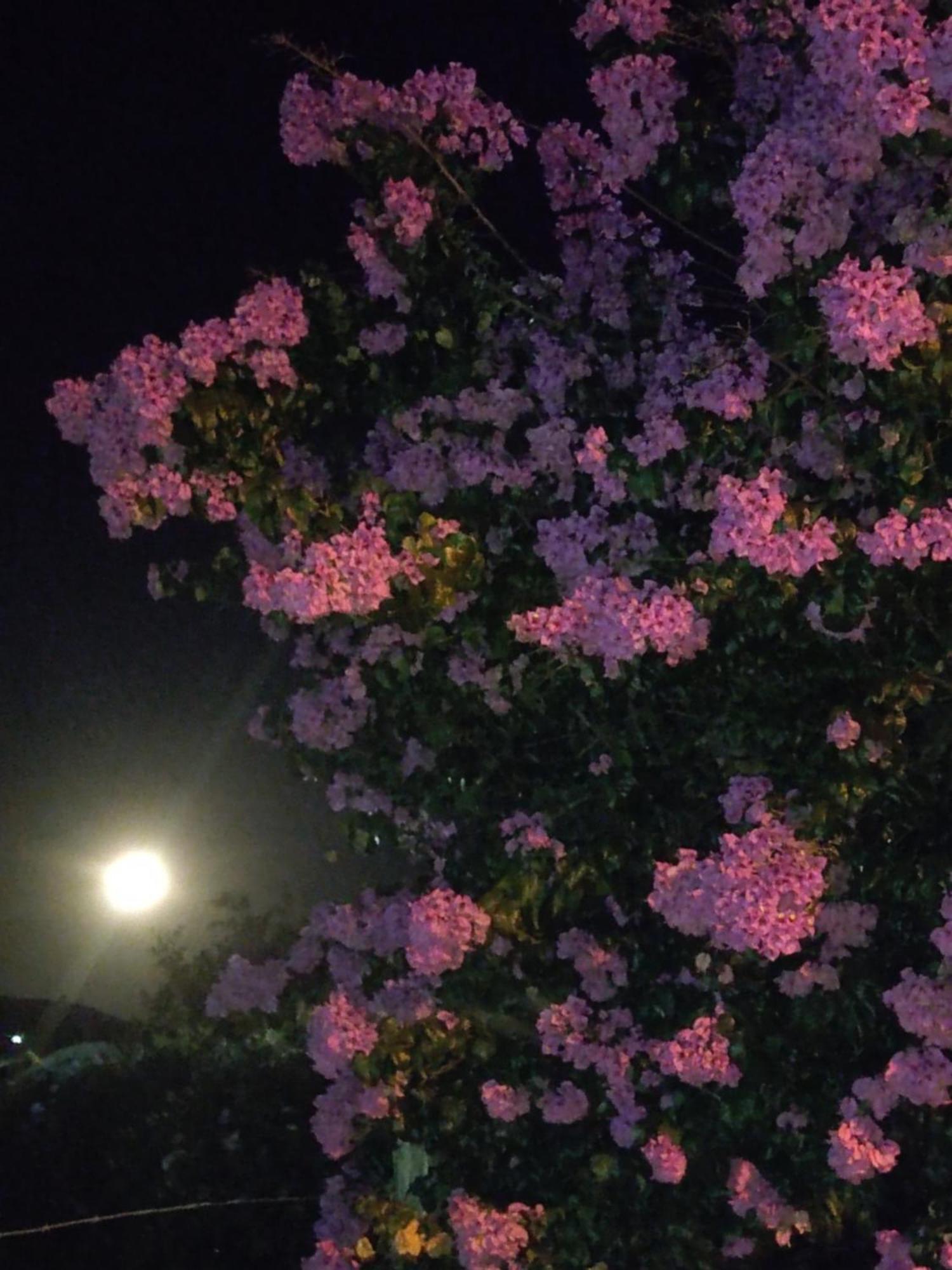 Pousada Cantinho De Deus กงแซร์วาตอเรีย ภายนอก รูปภาพ